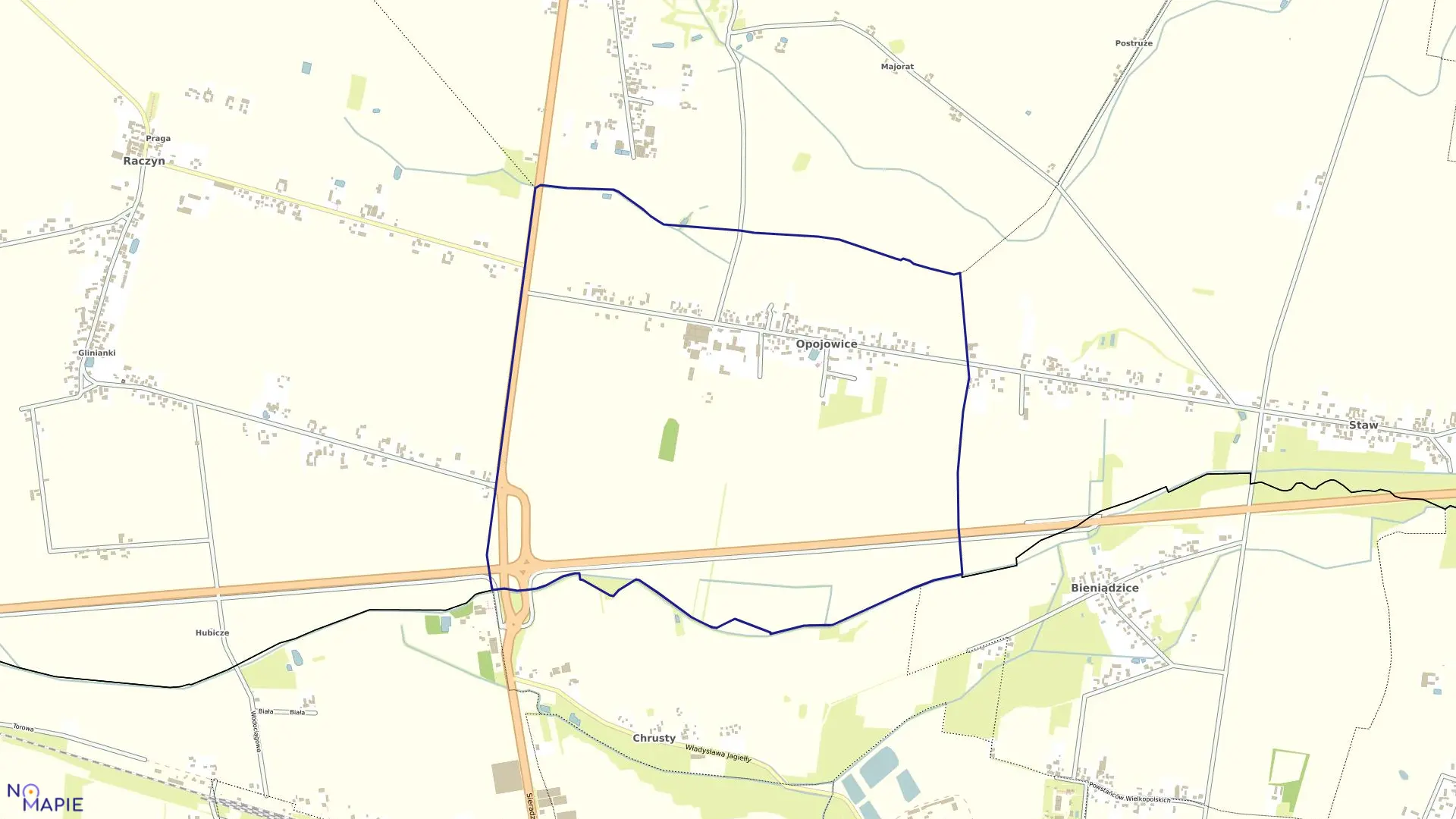 Mapa obrębu OPOJOWICE w gminie Czarnożyły
