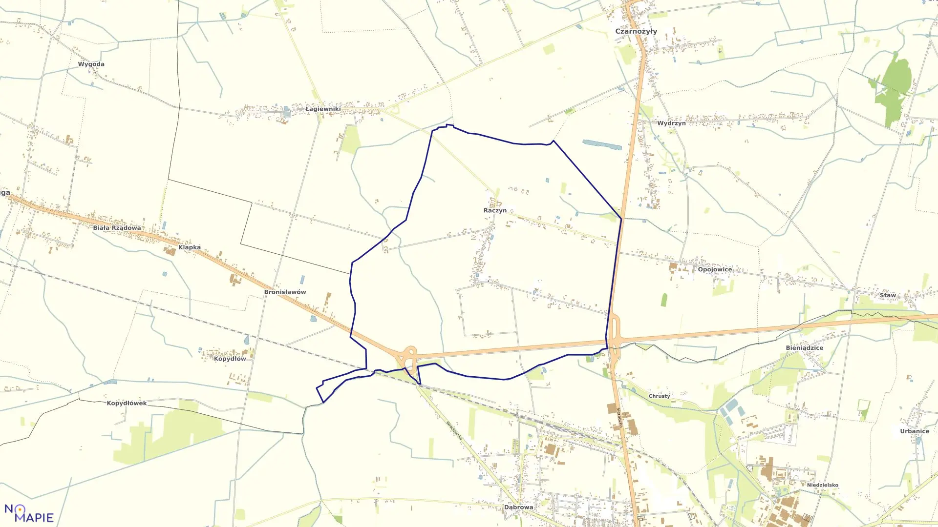 Mapa obrębu RACZYN w gminie Czarnożyły